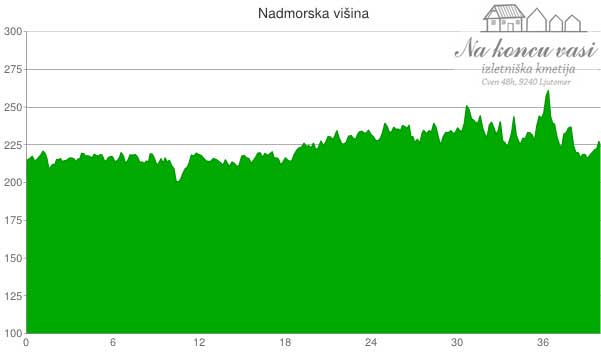 Višinska mapa